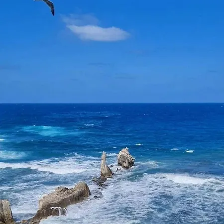 Casa Vacanza Mivaja Appartamento Terrasini
